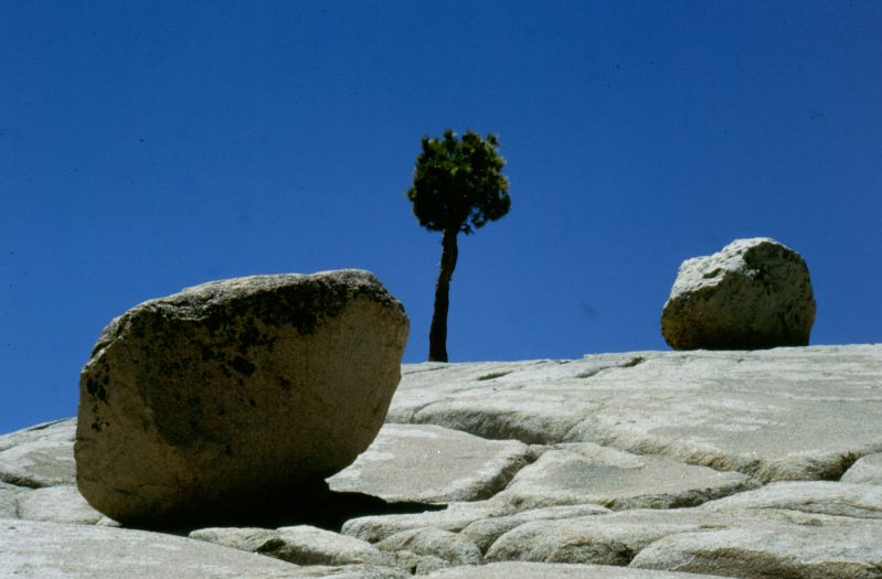 Yosemite N.P., Tioga Pass, 06/1999