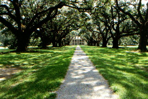 Oak Valley Plantation, Louisiana 09/2001