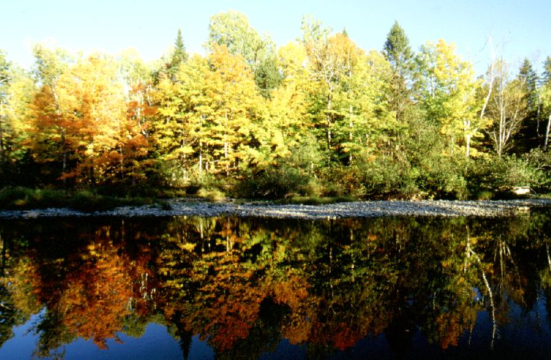 Baxter S.P., Maine, 10/2001