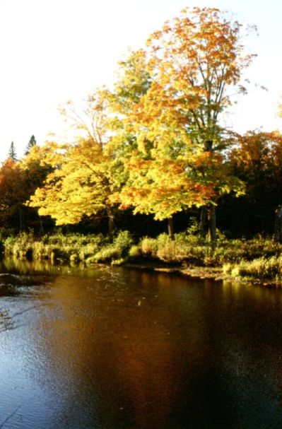 Baxter S.P., Maine, 10/2001