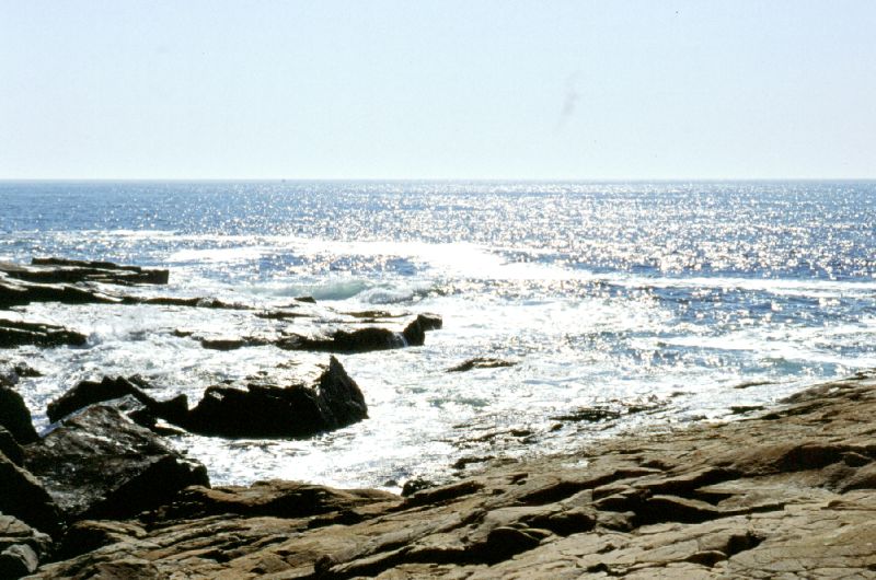 Acadia N.P. 10/2001