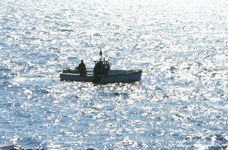 Acadia N.P. 10/2001