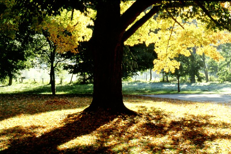 Deerfield, Massachusetts, 10/2001