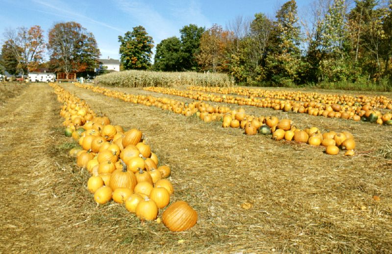 Massachusetts, 10/2001