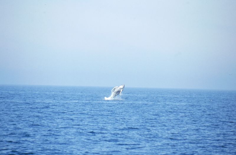 Provincetown, Cape Cod N.S. 10/2001