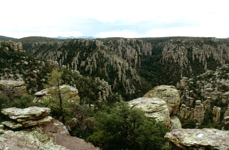 Chiricahua N.M., 10/2003