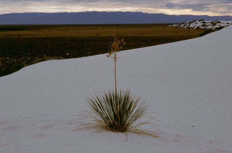 White Sands N.P., 10/2003