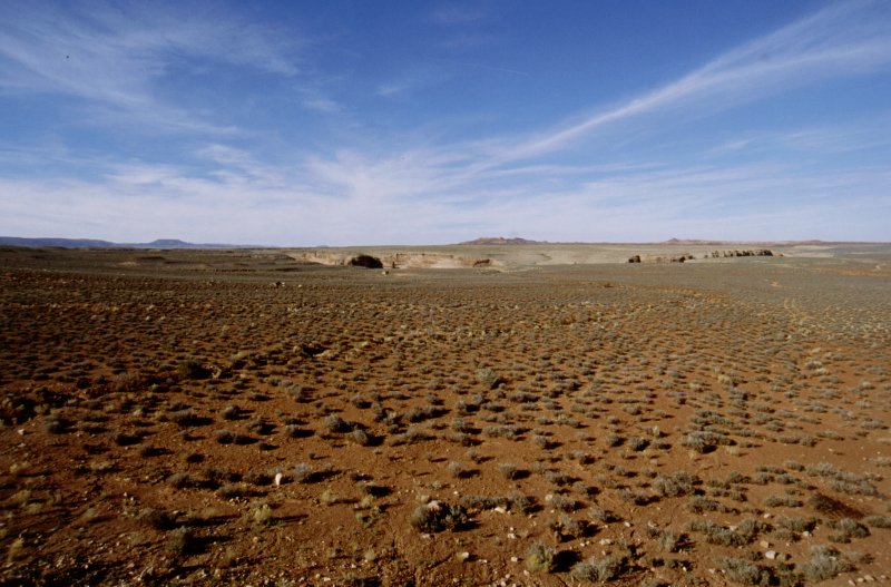 Anfahrt Grand Canyon N.P. (Westen), 10/2003