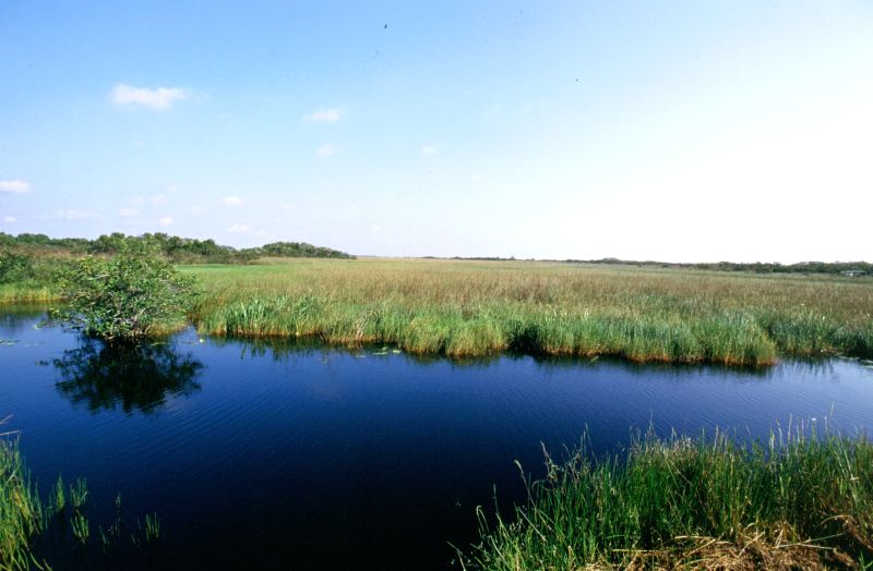 Everglades N.P., 09/2004