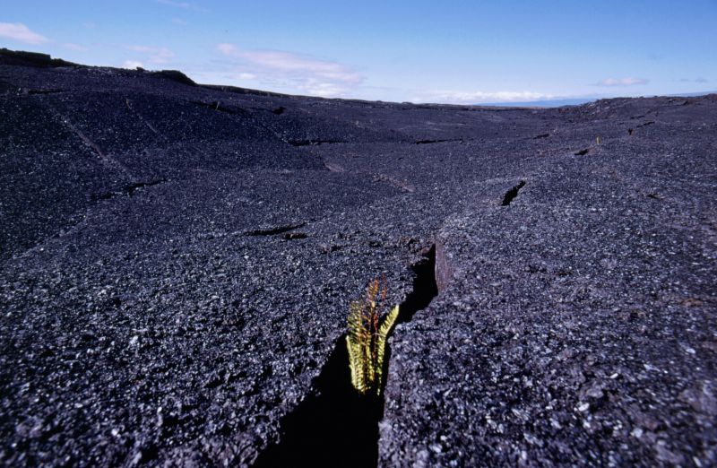 Big Island, Hawai�i Volcanoes N.P., Southwest Rift Zone, 10/2004