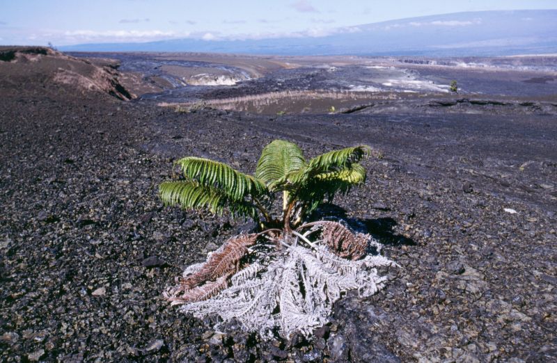 Big Island, Hawai�i Volcanoes N.P., Kilauea Caldera, 10/2004