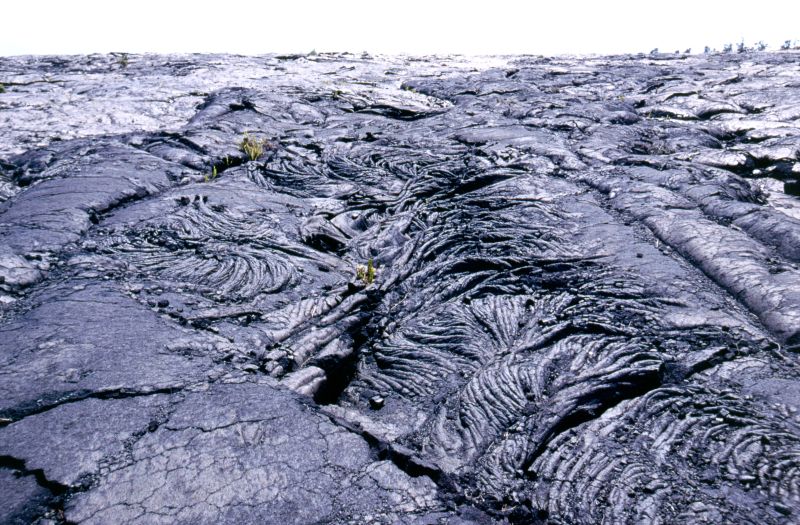 Big Island, Hawai�i Volcanoes N.P., Holei Pali, 10/2004