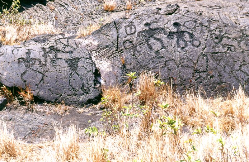 Big Island, Hawai�i Volcanoes N.P., Pu�u Loa, 10/2004
