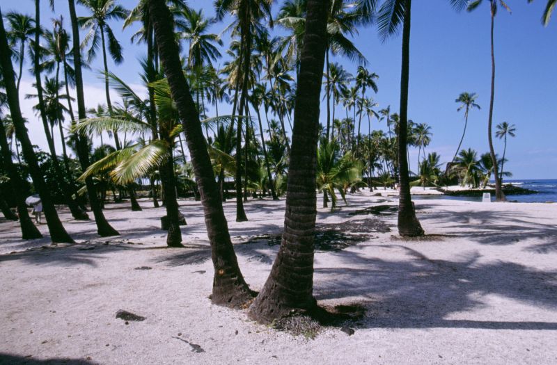 Big Island, Puiuhomua O Hanauhau N.H.P., 10/2004