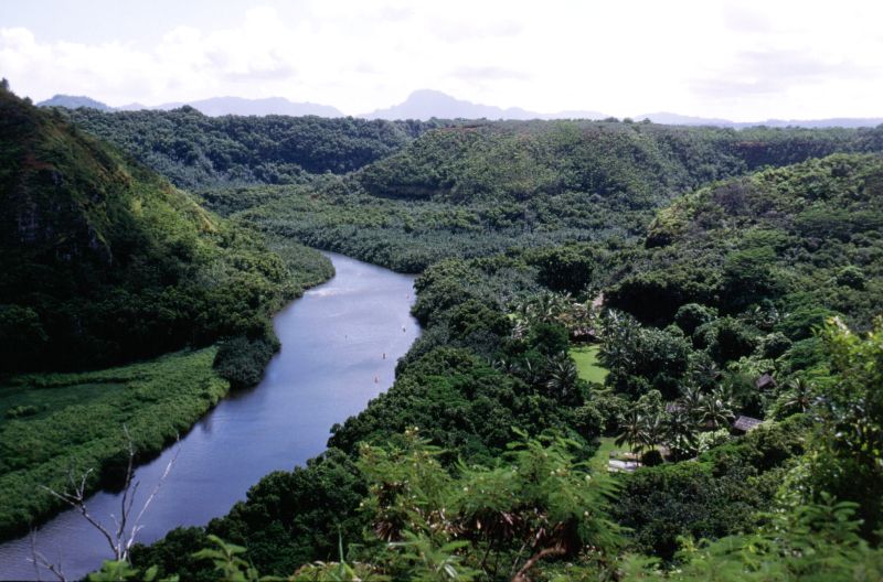 Kaua�i, Wailua River, Kamokila, 10/2004