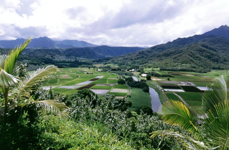 Kaua�i, Hanalai