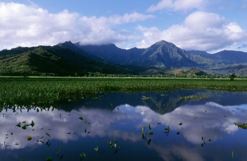 Kaua�i, Hanalai