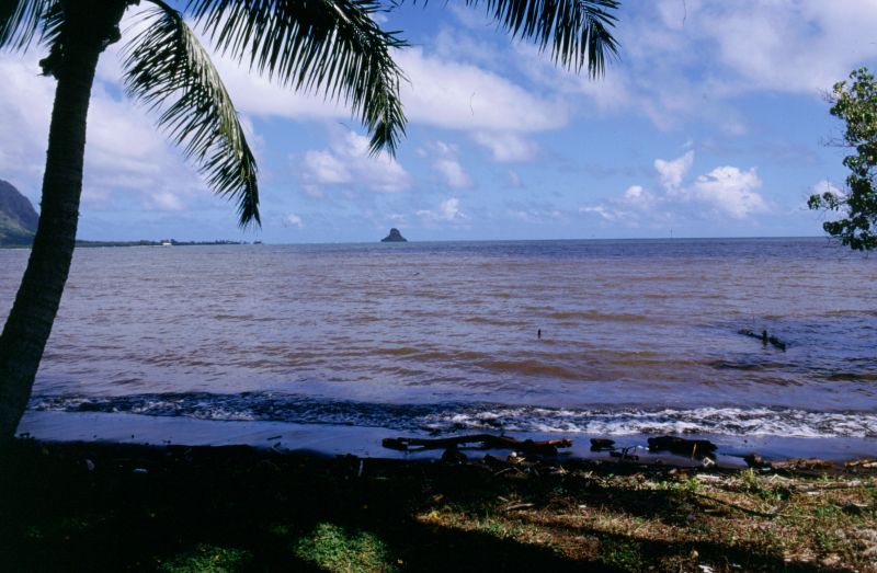 O�ahu, Kualoa Point, Moko Li�I Island, 10/2004