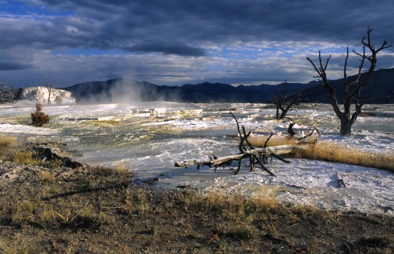 Yellowstone N.P., 09/2007