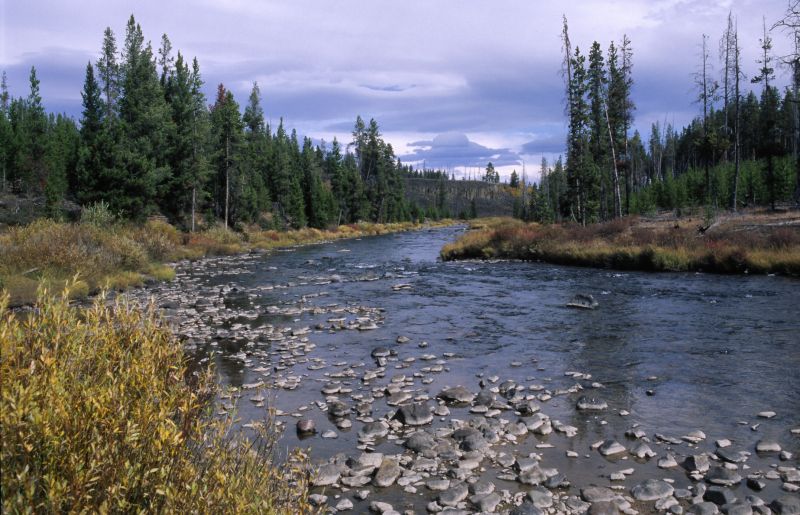 Yellowstone N.P., 09/2007