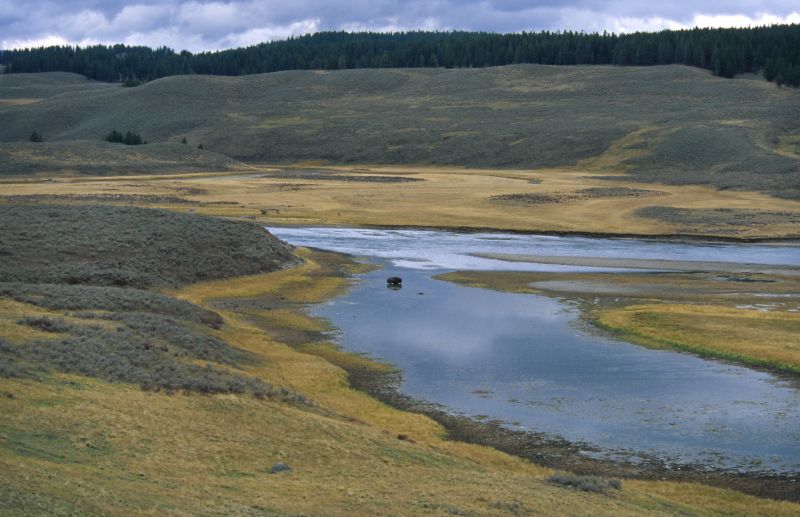 Yellowstone N.P., 09/2007