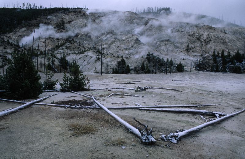 Yellowstone N.P., 09/2007