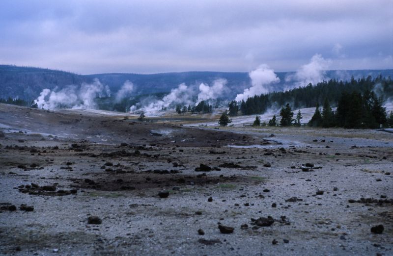 Yellowstone N.P., 09/2007
