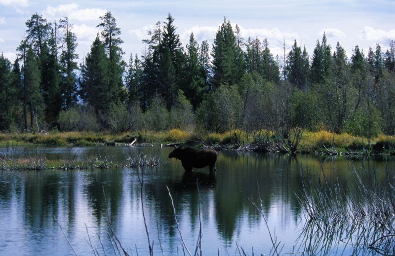 Grand Teton N.P., 09/2007