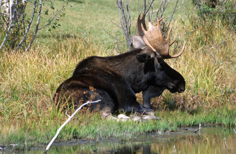 Grand Teton N.P., 09/2007