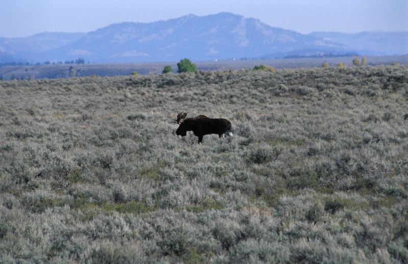 Grand Teton N.P., 09/2007