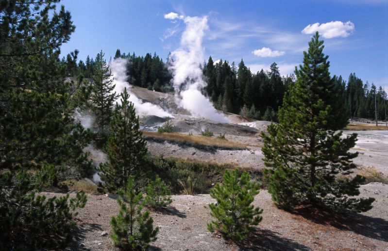 Yellowstone N.P., 09/2007