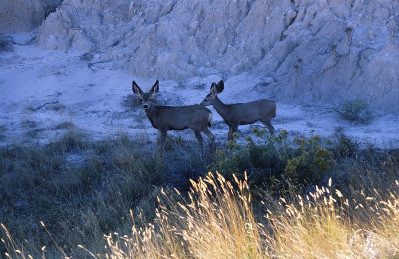 Badlands N.P., 10/2007