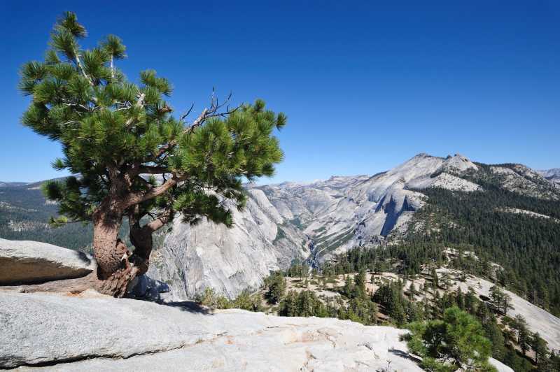 Yosemite N.P., 09./10.2009