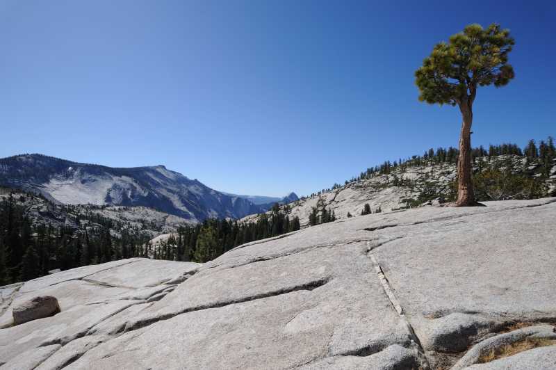 Yosemite N.P., 09./10.2009