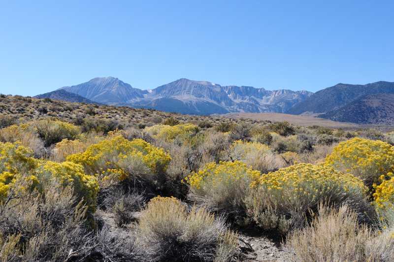 Mono Lake S.P., 09./10.2009