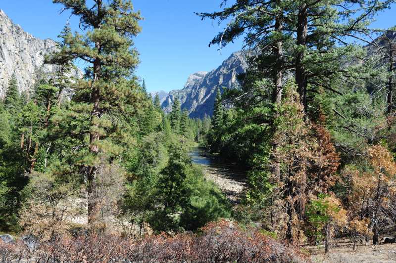 Sequoia & Kings Canyon N.P., 10.2009