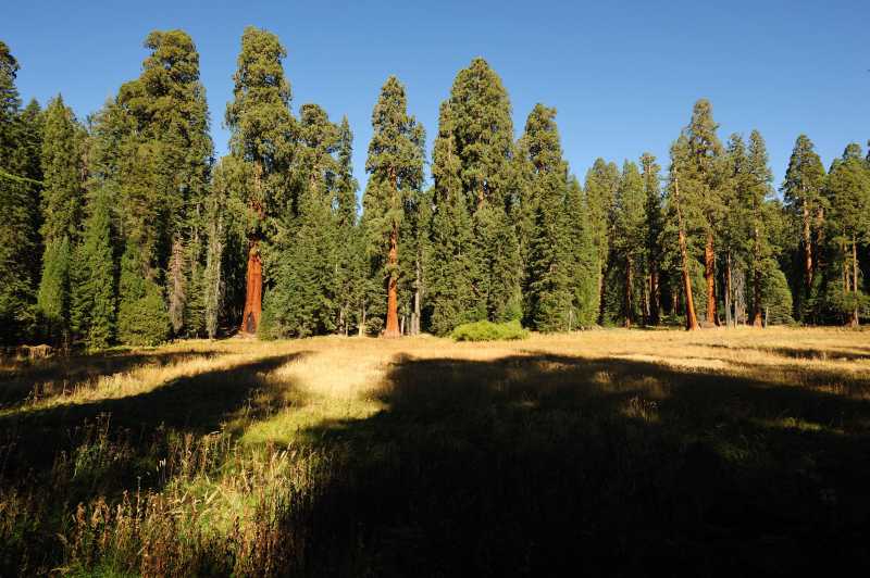 Sequoia & Kings Canyon N.P., 10.2009