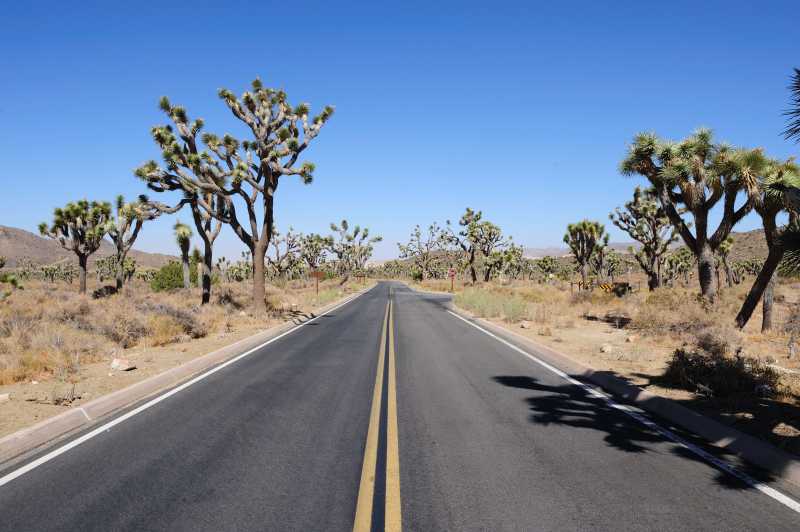 Joshua Tree N.P., 10.2009