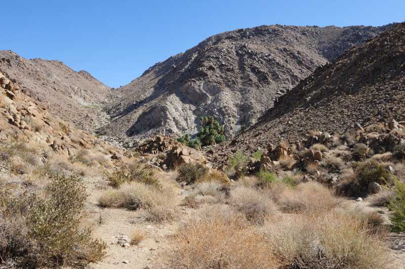 Joshua Tree N.P., 10.2009