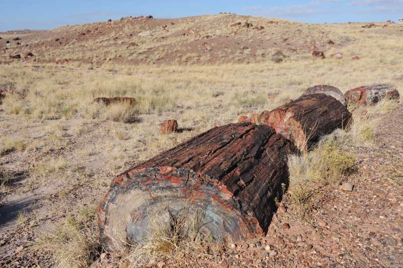 Petrified Forest N.P., 10.2009