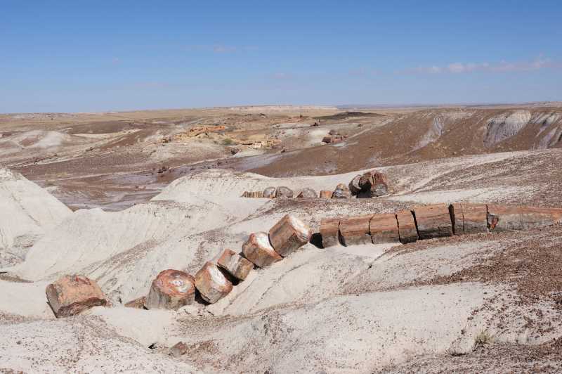Petrified Forest N.P., 10.2009