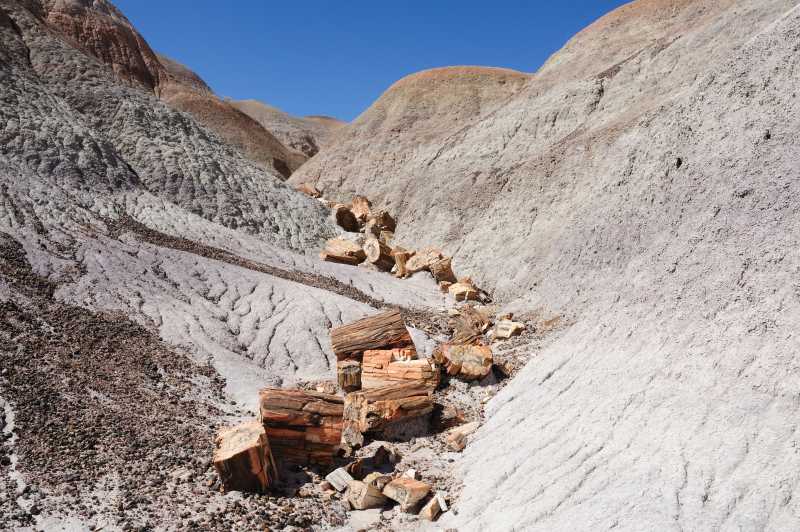 Petrified Forest N.P., 10.2009