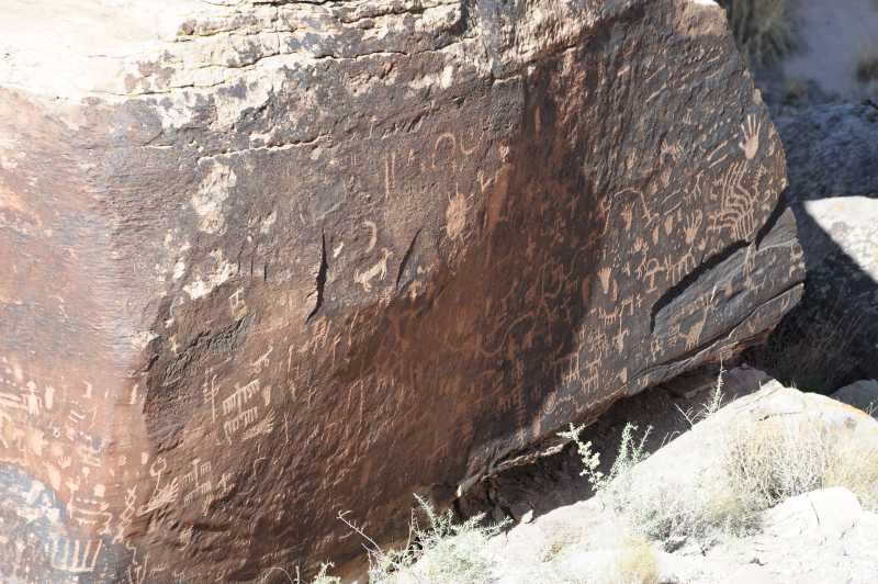 Petrified Forest N.P., 10.2009