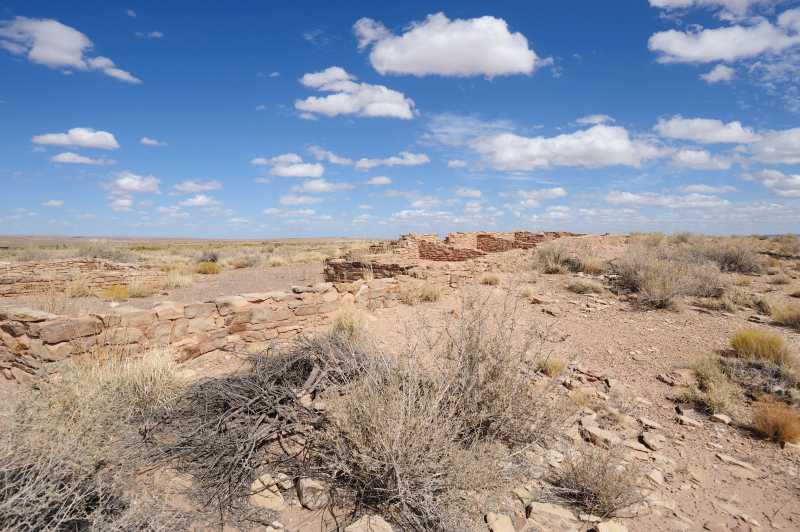 Petrified Forest N.P., 10.2009