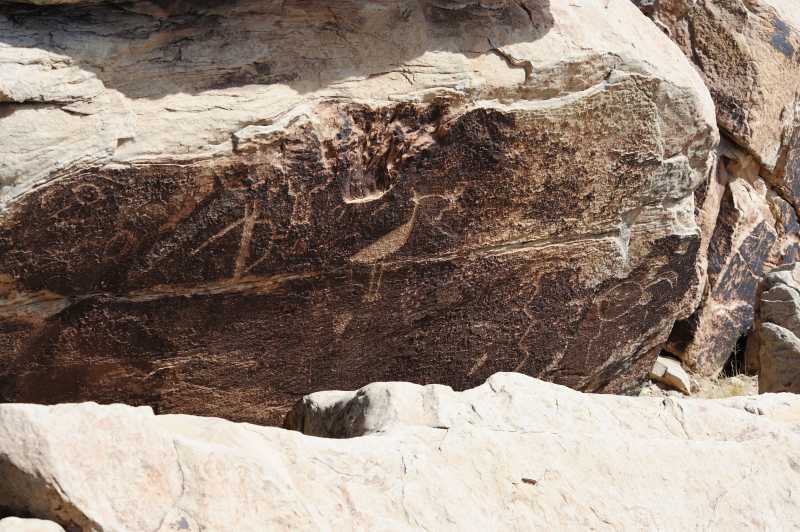 Petrified Forest N.P., 10.2009