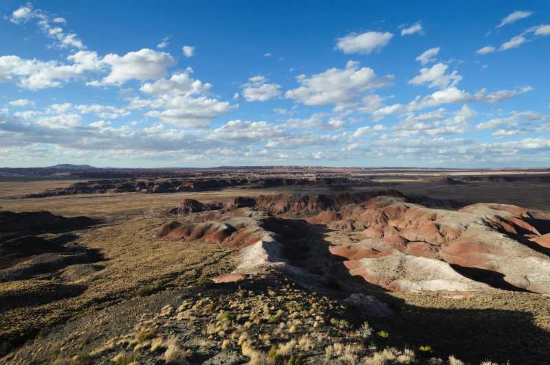 Petrified Forest N.P., 10.2009
