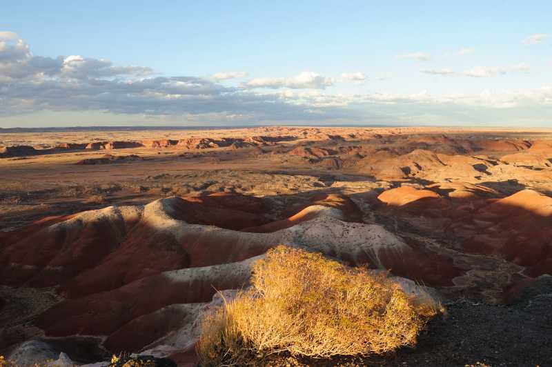 Petrified Forest N.P., 10.2009