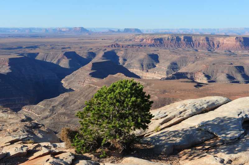 Muley Point Overlook, 10.2009