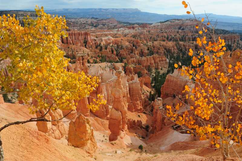 Bryce Canyon N.P., 10.2009