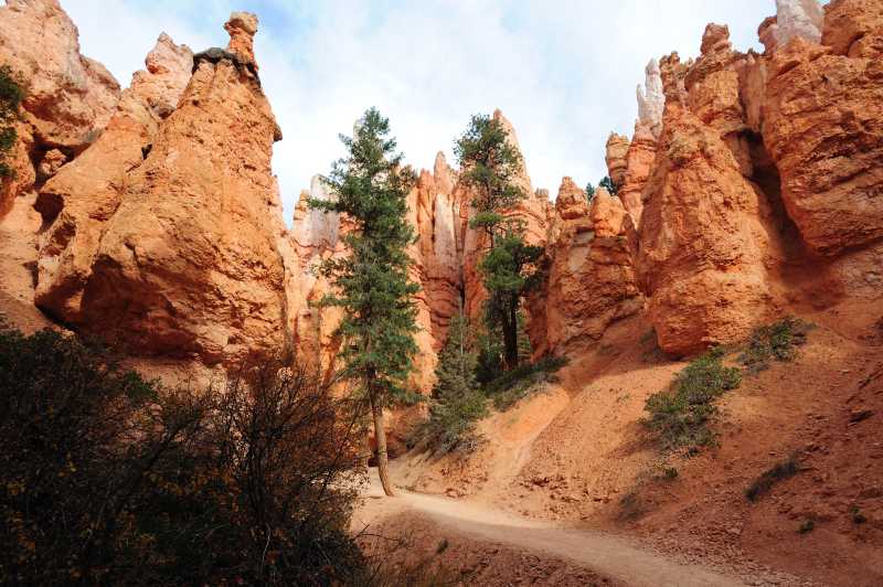 Bryce Canyon N.P., 10.2009